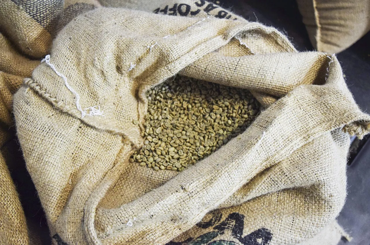 Coffee processing