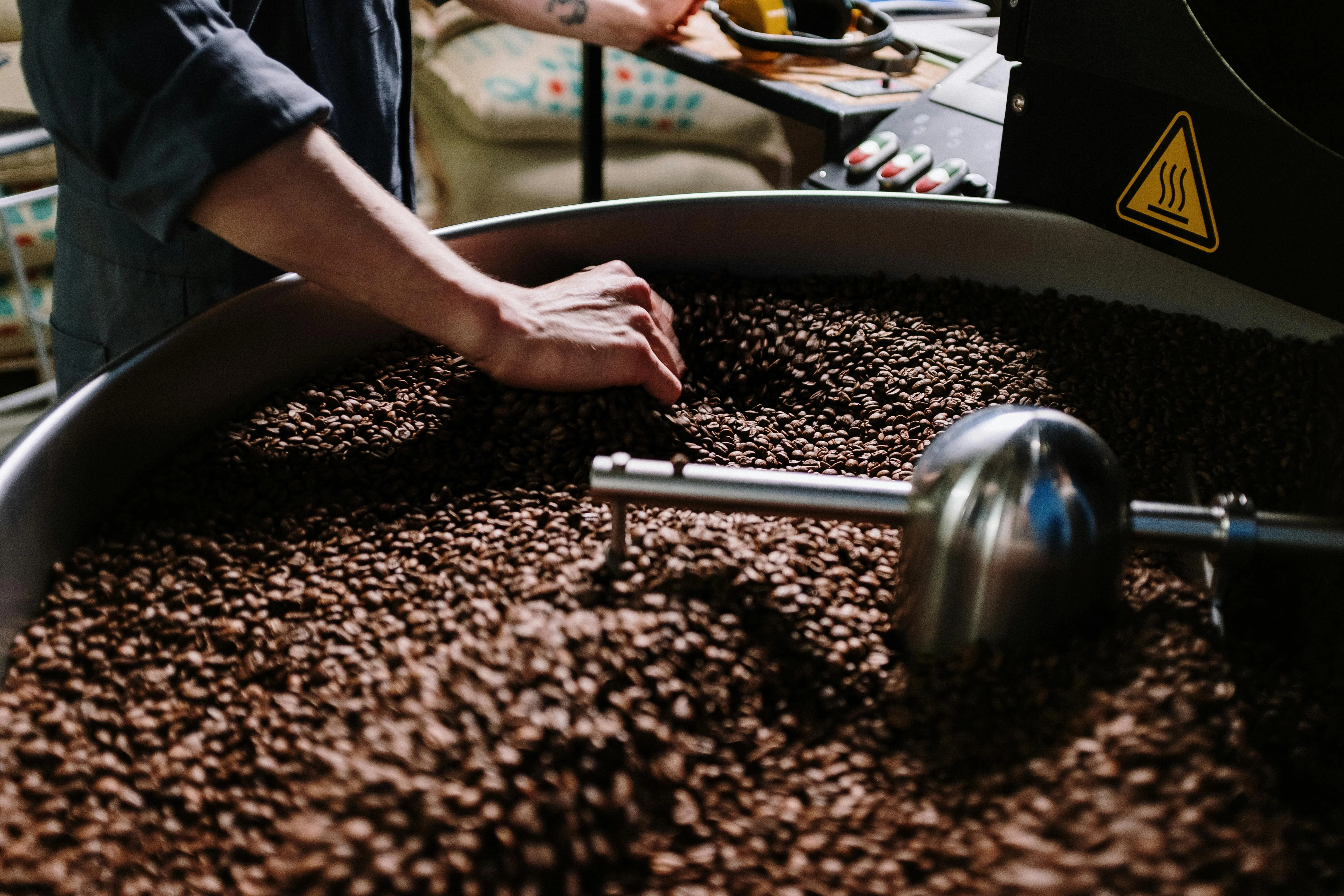 Freshly roasted coffee beans